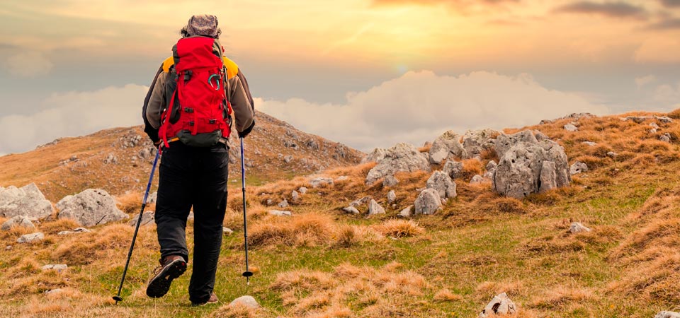 una persona di schiena con zaino e racchette da trekking che cammina su un sentiero di montagna